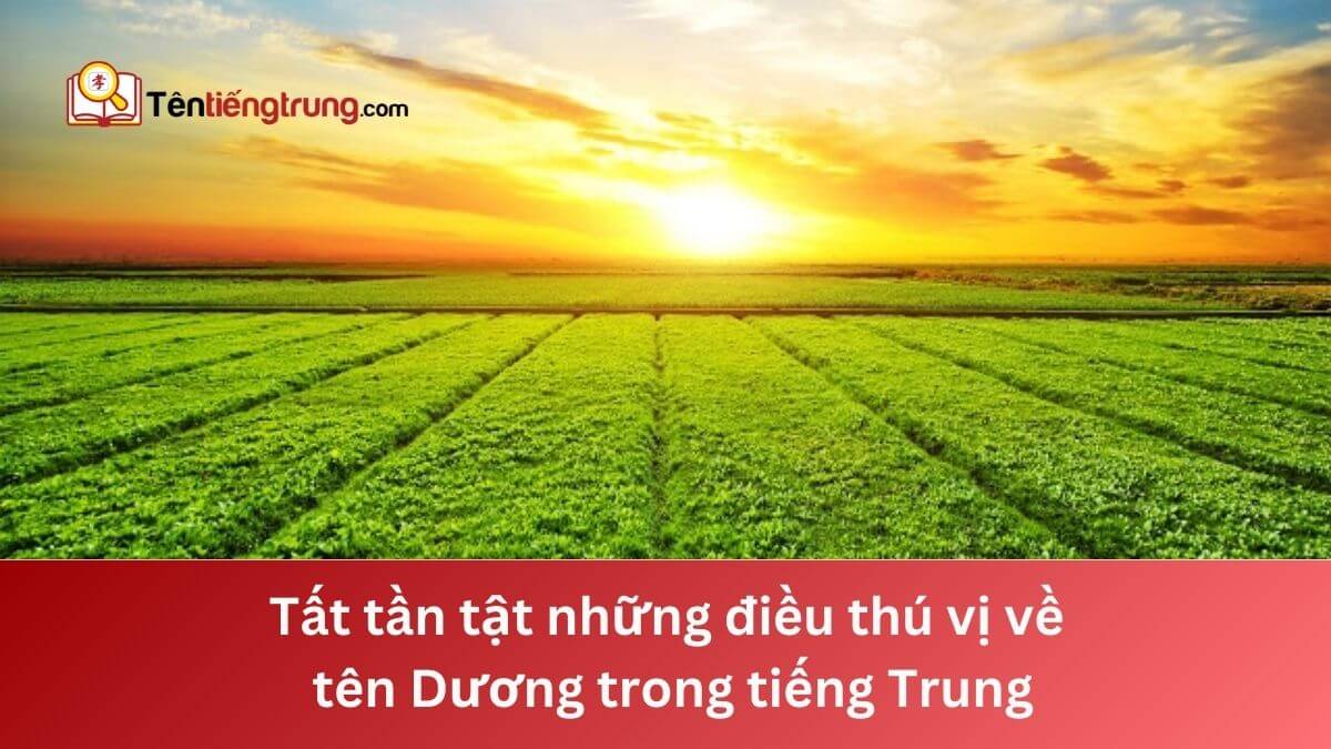 Tên Dương trong tiếng Trung