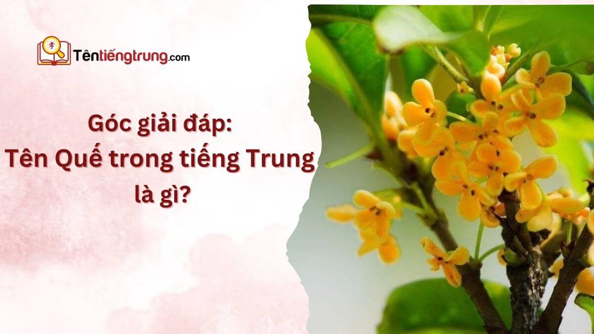 Tên Quế tiếng Trung là gì