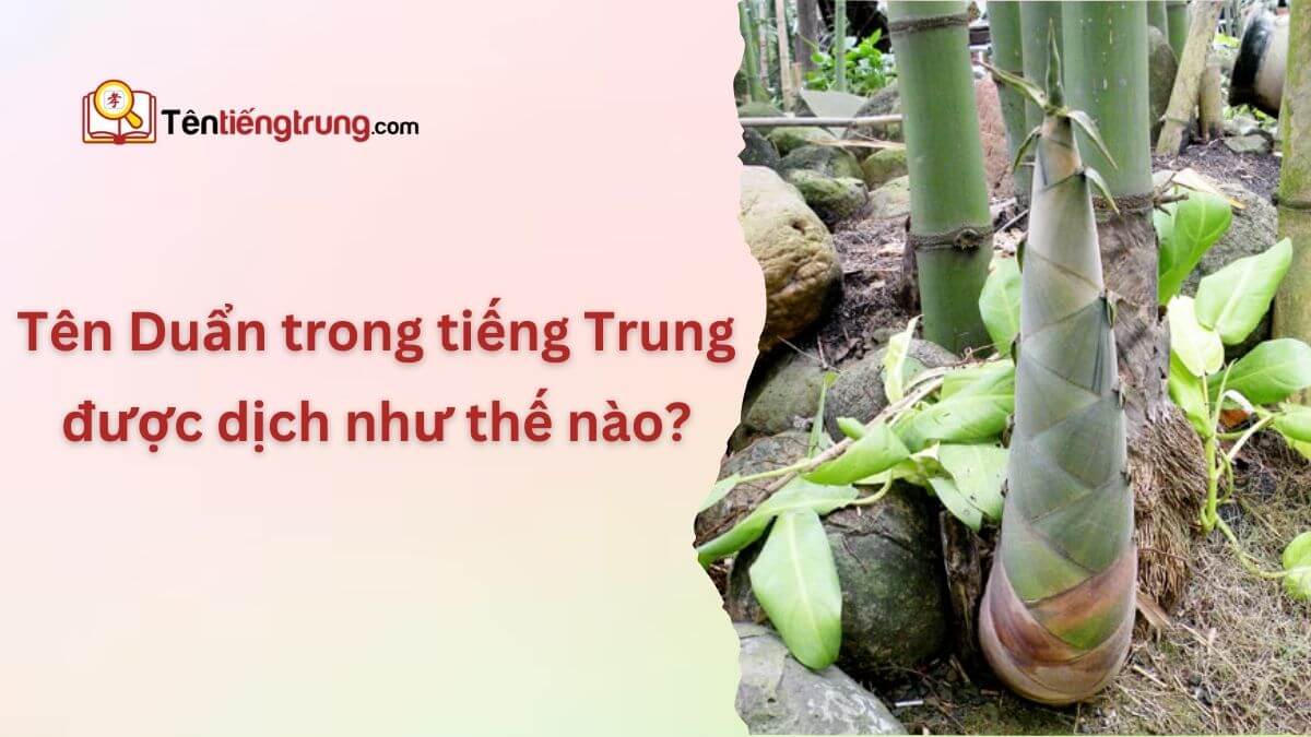 Tên Duẩn trong tiếng Trung