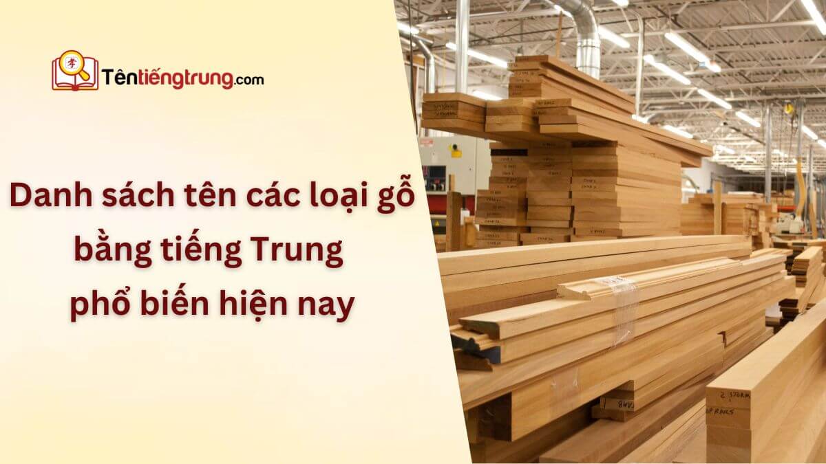 Tên các loại gỗ bằng tiếng Trung