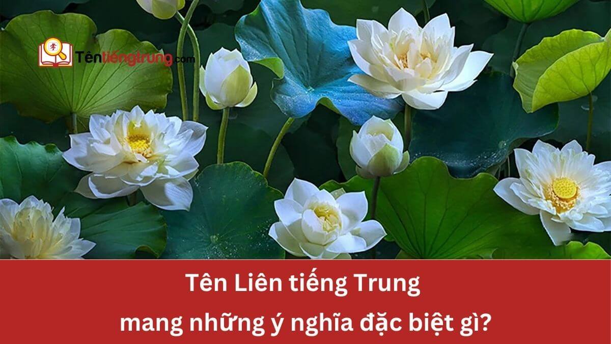 Tên Liên tiếng Trung