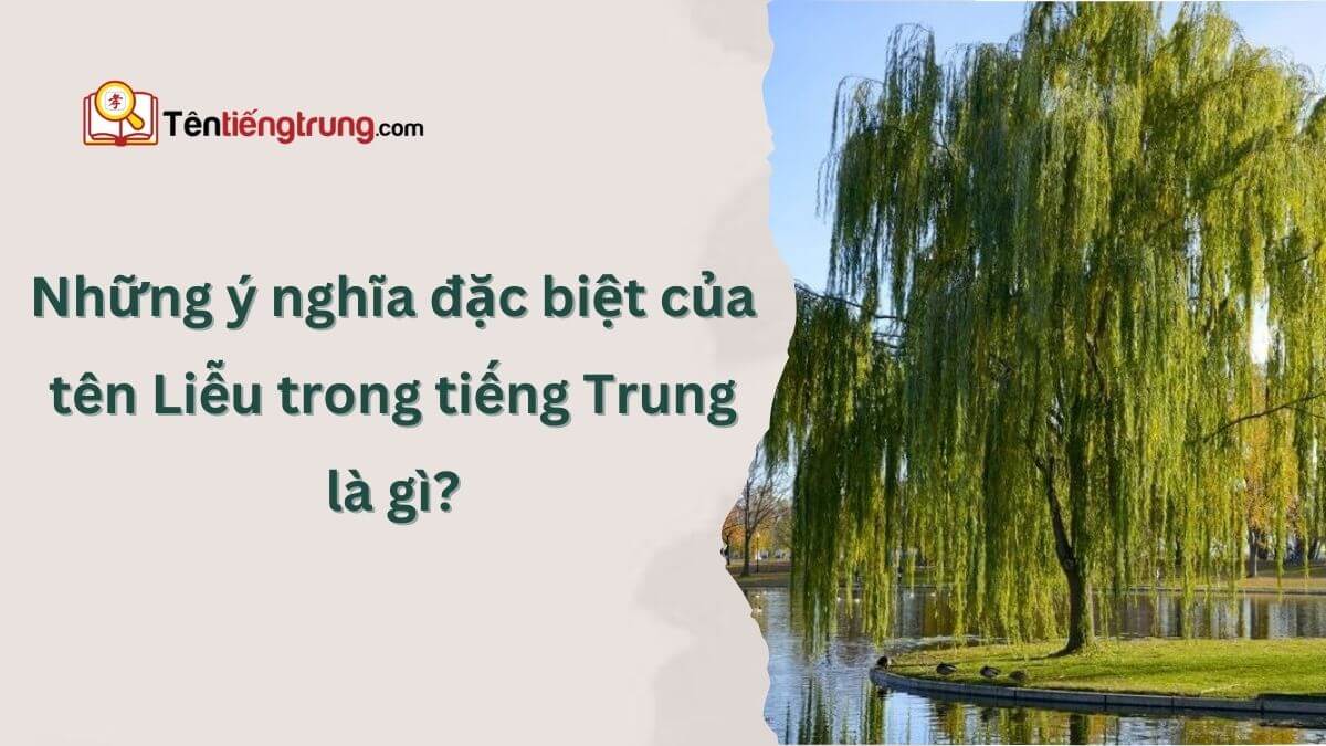 Tên Liễu tiếng Trung