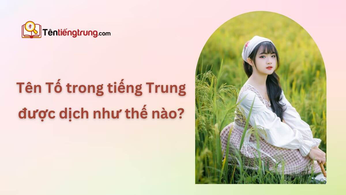 Tên Tố trong tiếng Trung