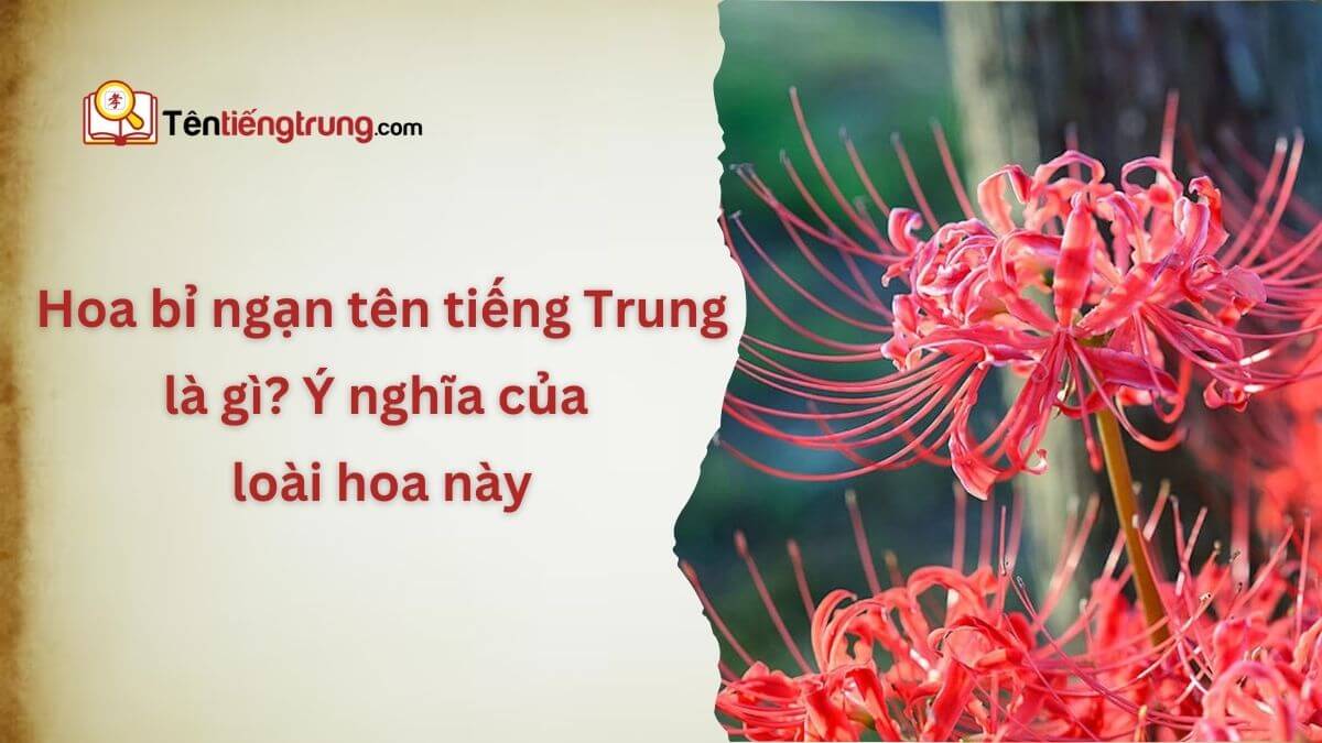 Hoa bỉ ngạn tên tiếng Trung